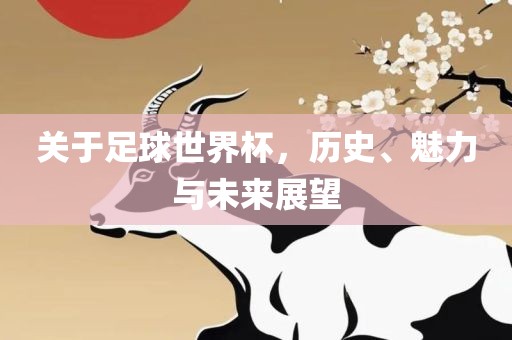 关于足球世界杯，历史、魅力与未来展望