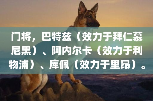 门将，巴特兹（效力于拜仁慕尼黑）、阿内尔卡（效力于利物浦）、库佩（效力于里昂）。