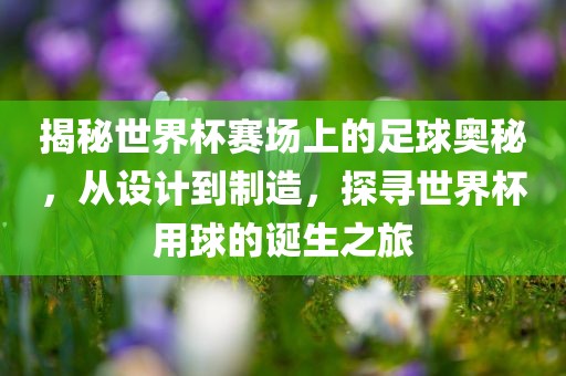 揭秘世界杯赛场上的足球奥秘，从设计到制造，探寻世界杯用球的诞生之旅吉安市靖泰电力工程有限公司