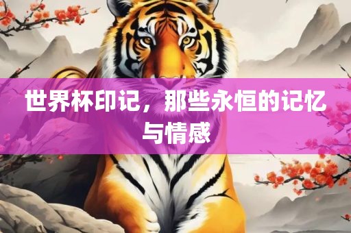 世界杯印记，那些永恒的记忆与情吉安市靖泰电力工程有限公司感