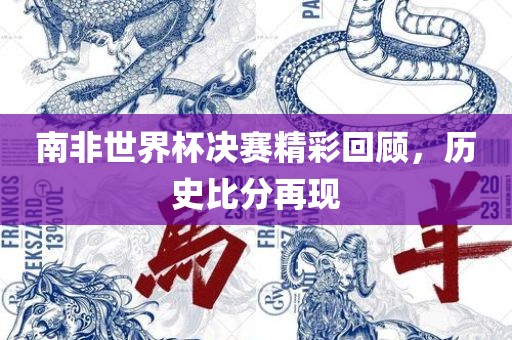 南非世界杯决赛精彩回顾，历史比分再现