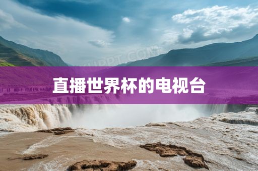 直吉安市靖泰电力工程有限公司播世界杯的电视台