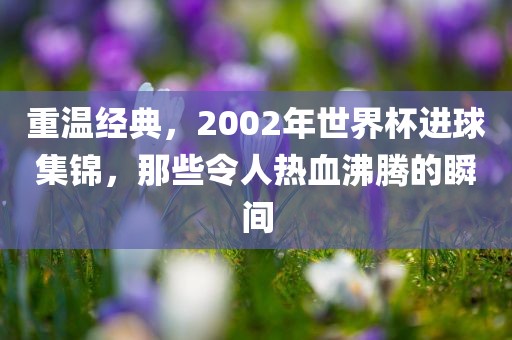 重温经典，2002年世界杯进球集锦，那些令人热血沸腾的瞬间