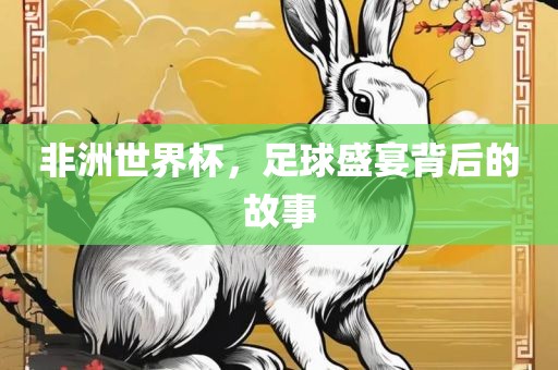 非洲世界杯，足球盛宴背后的故事