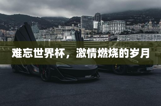 难忘世界杯，激情燃烧的岁月