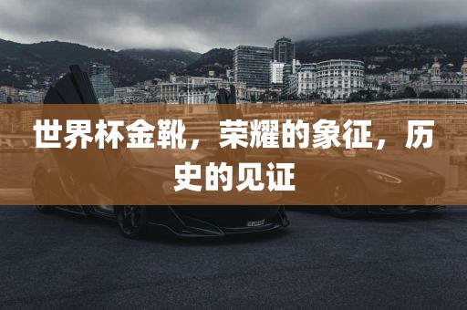 世界杯金靴，荣耀的象征，历史的见证