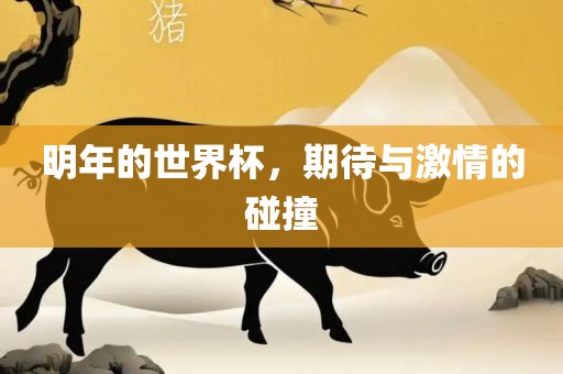 明年的世界杯，期待与激情的碰撞