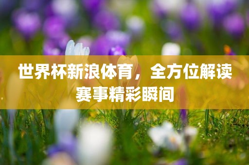 世界杯新浪吉安市靖泰电力工程有限公司体育，全方位解读赛事精彩瞬间