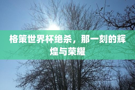 格策世界杯绝杀，那一刻的辉煌与荣耀