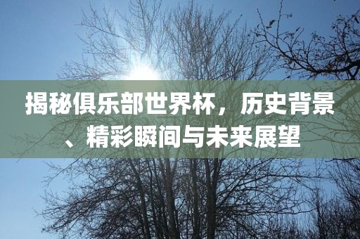 揭秘俱乐部世界杯，历史背景、精彩瞬间与未来展望