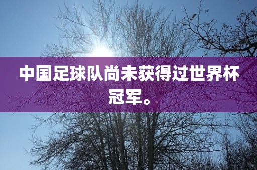 中国足球队尚未获得过世界杯冠军。吉安市靖泰电力工程有限公司