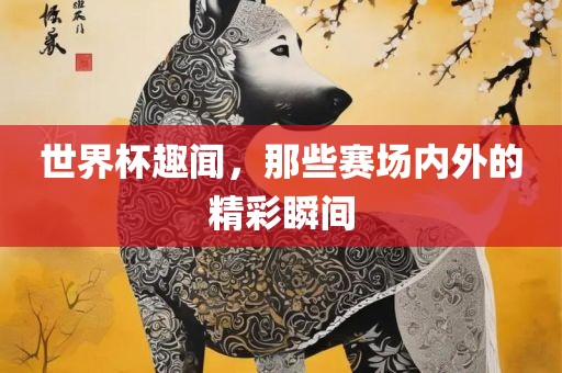 世界杯趣闻，那些赛场内外的精彩瞬间吉安市靖泰电力工程有限公司