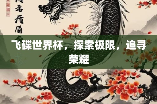 吉安市靖泰电力工程有限公司飞碟世界杯，探索极限，追寻荣耀
