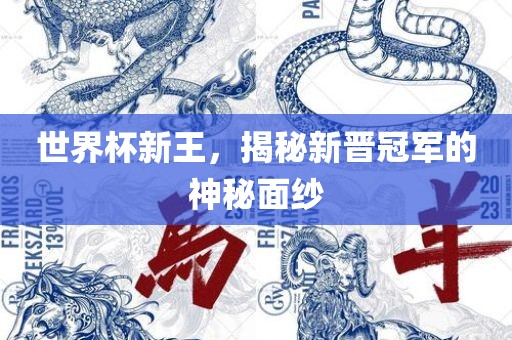 世界杯新王，揭秘新晋冠军的神秘面纱吉安市靖泰电力工程有限公司
