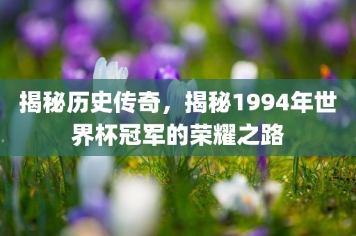 揭秘吉安市靖泰电力工程有限公司历史传奇，揭秘1994年世界杯冠军的荣耀之路