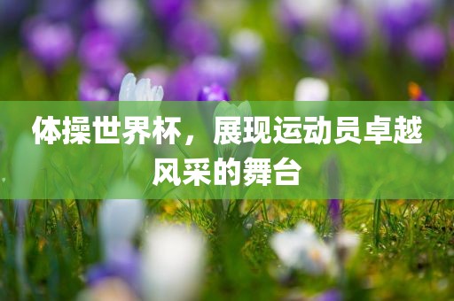 体操世界杯，展现运动员卓越风采的舞台