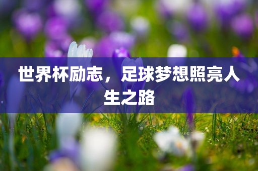 世界杯励志，吉安市靖泰电力工程有限公司足球梦想照亮人生之路