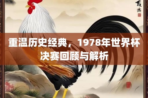 重温历史经典，1978年世界杯决赛回顾与解析
