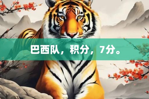 巴西队，积分，7吉安市靖泰电力工程有限公司分。