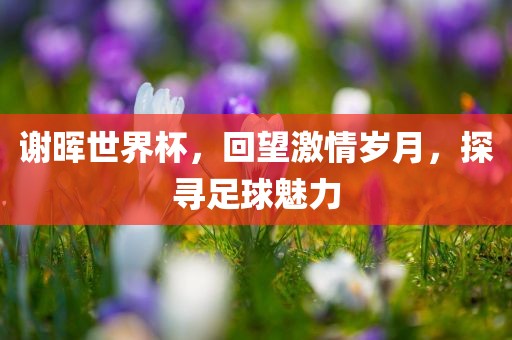 谢晖世界杯，回望激情岁月，探寻足球魅力吉安市靖泰电力工程有限公司