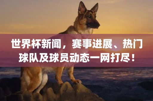 世界杯新闻，赛事进展、热门球队及球员吉安市靖泰电力工程有限公司动态一网打尽！