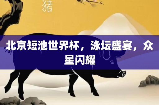 北京短池世界杯，泳坛盛宴，众星闪耀吉安市靖泰电力工程有限公司