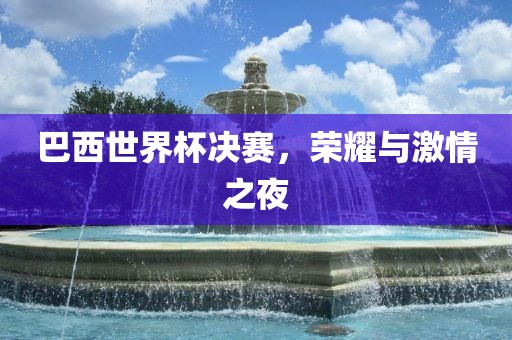 巴西世界杯决赛，荣耀与激情之夜