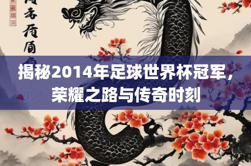 揭秘2014年足球世界杯冠军，荣耀之路与传奇时刻