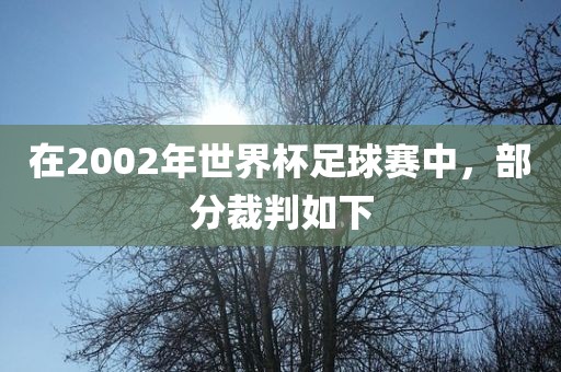 世界杯足球赛 第5页