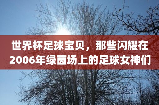 世界杯足球宝贝，那些闪耀在2006年绿茵场上的足球女神们