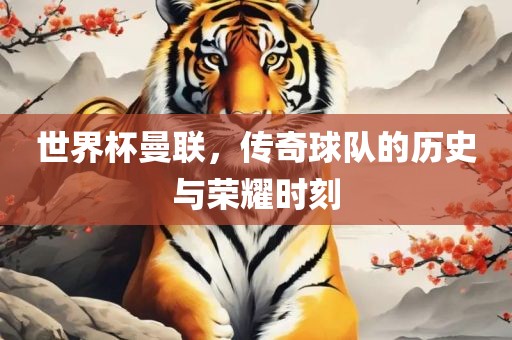 世界杯曼联，传奇球队的历史与荣耀时刻吉安市靖泰电力工程有限公司