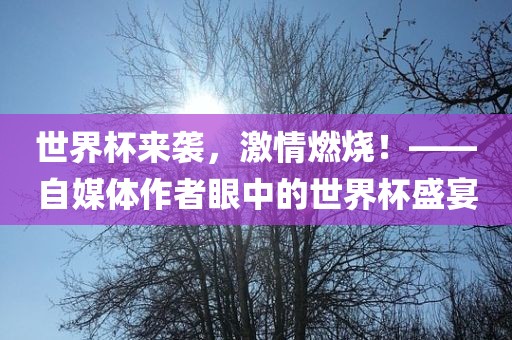 世界杯来袭，激情燃烧！——自媒体作者眼中的世界杯盛宴吉安市靖泰电力工程有限公司