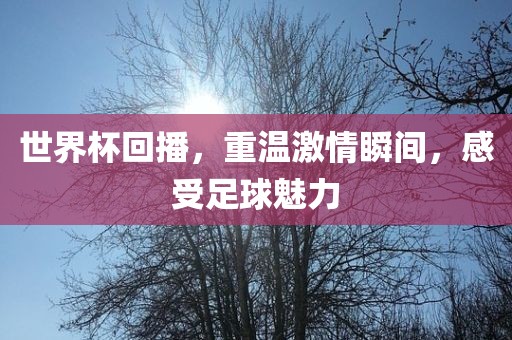 世界杯回播，重温激情瞬间，感受足球魅力
