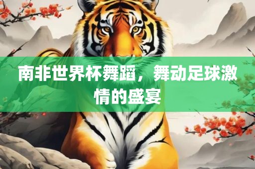 南非世界杯舞蹈，舞动足球激情的盛宴