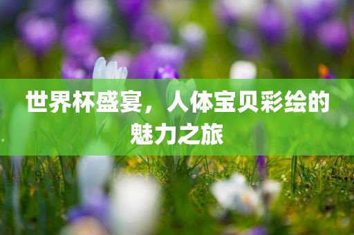 世界杯盛宴，人体宝贝彩绘的魅力之旅
