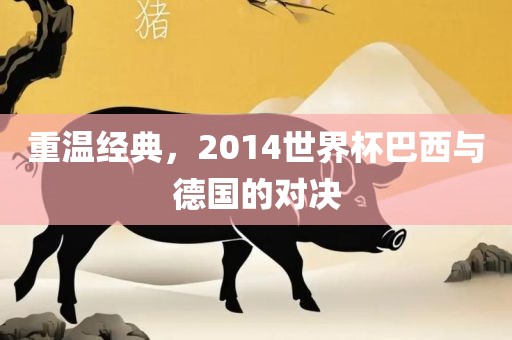 重温经典，2014世界杯巴西与德国的对决吉安市靖泰电力工程有限公司