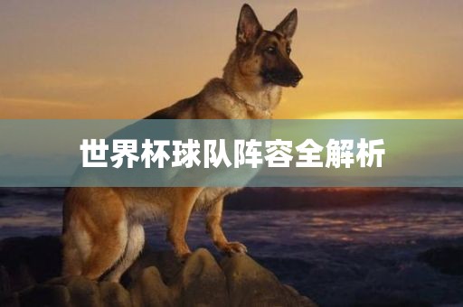 世界杯球队阵容全解析吉安市靖泰电力工程有限公司