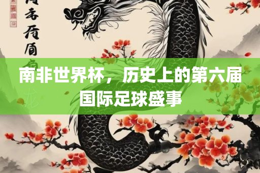 南非世界杯，历史上的第六届国际足球盛事