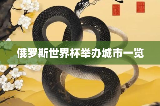 俄罗斯世界杯举吉安市靖泰电力工程有限公司办城市一览