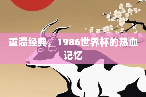 重温经典，1986世界杯的热血记忆