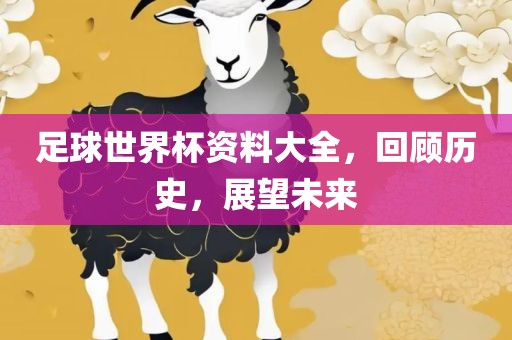 足球世界杯资料大全，回顾历史，展望未来