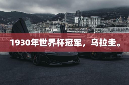 1930年世界杯冠军，乌拉圭。吉安市靖泰电力工程有限公司