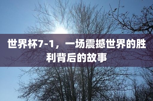 世界杯7-1，一场震撼世界的胜利背后的故吉安市靖泰电力工程有限公司事