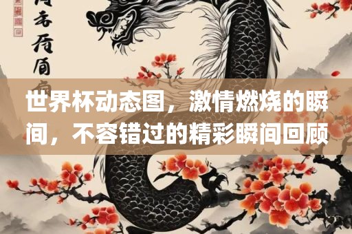 世界杯动态图，激情燃烧的瞬间，不容错过的精彩瞬间回顾吉安市靖泰电力工程有限公司