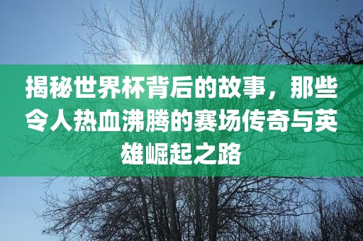 揭秘世界杯背后的故事，那些令人热血沸腾的赛场传奇与英雄崛起之路吉安市靖泰电力工程有限公司