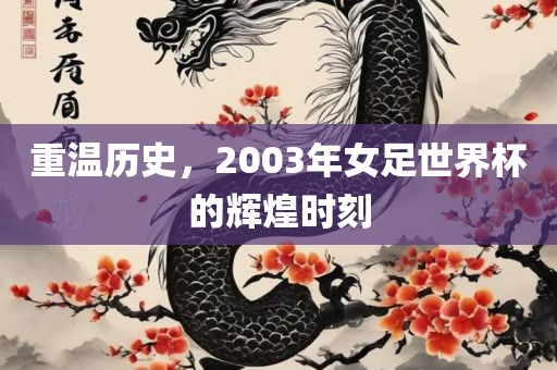 重温历史，2003年女足世界杯的辉煌时刻