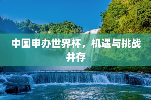 中国申办世界杯，机遇与挑战并存