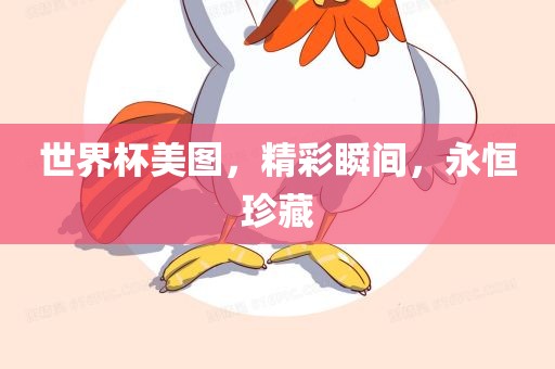 世界杯美图，精彩瞬间，永恒珍藏