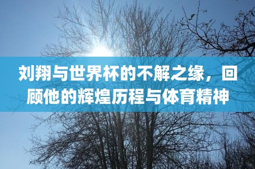 刘翔与世界杯的不解之缘，回顾他的辉煌历程与体育精神吉安市靖泰电力工程有限公司