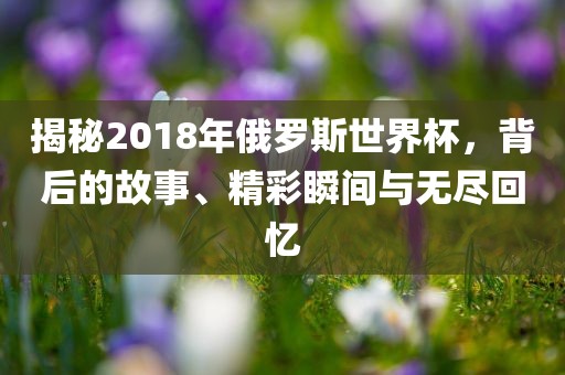 揭秘2018年俄罗斯世界杯，背后的故事、精彩瞬间与无尽回忆